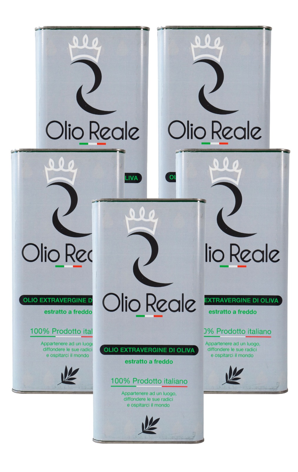 5 Lattine da 5 litri di Olio Reale Classico