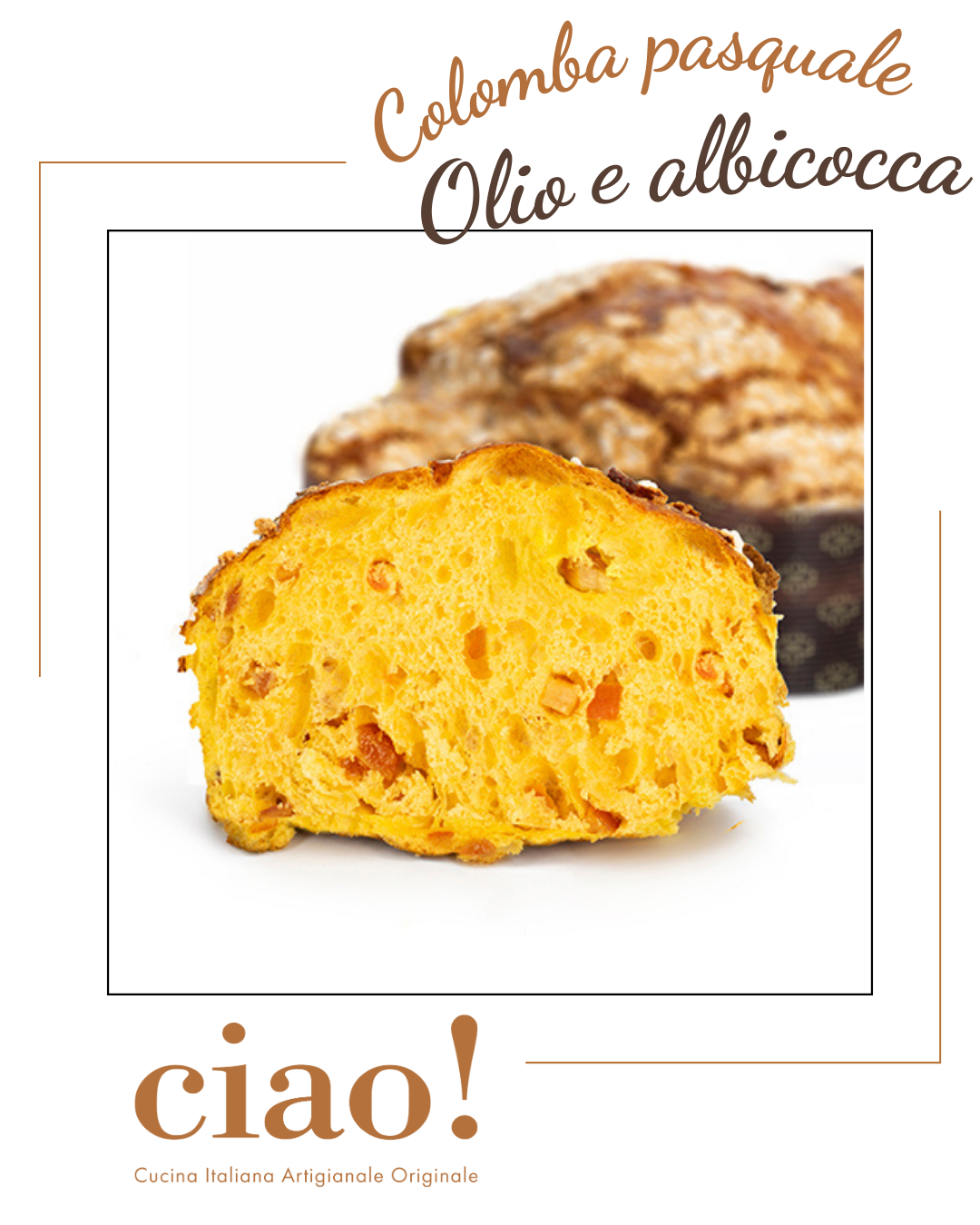 Colomba Olio e Albicocca