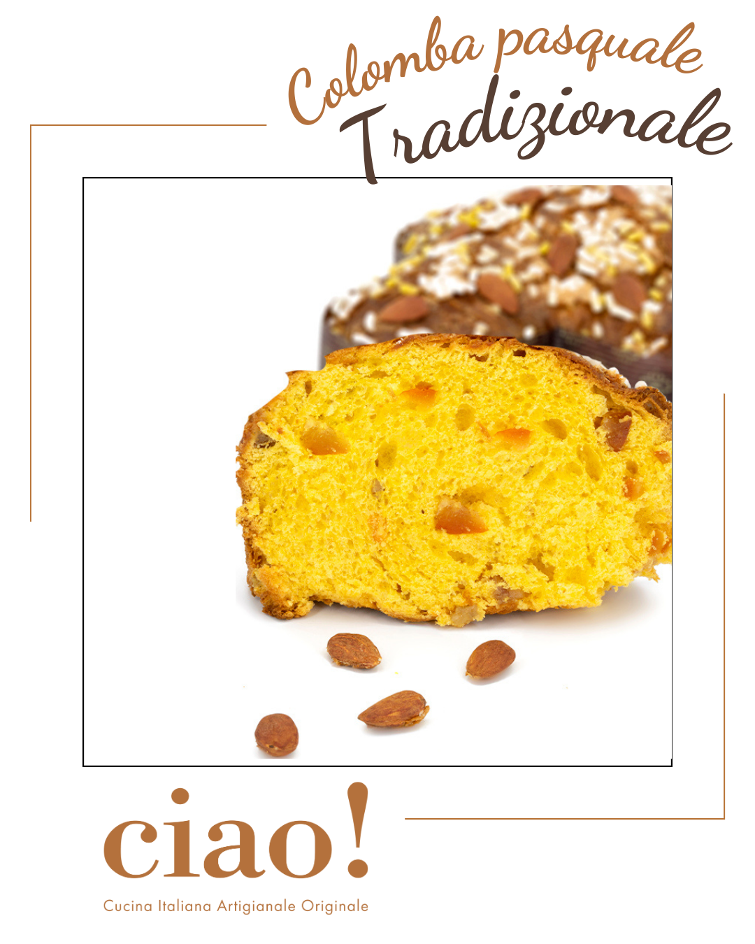 Colomba Tradizionale